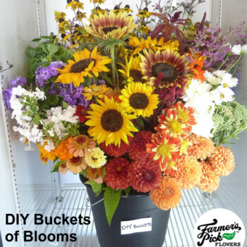 Farmers Pick local fresh cut flower farm - Boise, Idaho USA