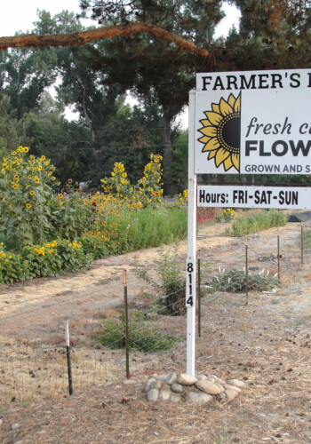 Farmer's Pick fresh cut flowers, Boise-Idaho USA