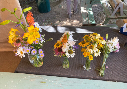 Farmers Pick local fresh cut flower farm - Boise, Idaho USA