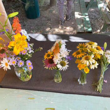 Farmers Pick local fresh cut flower farm - Boise, Idaho USA