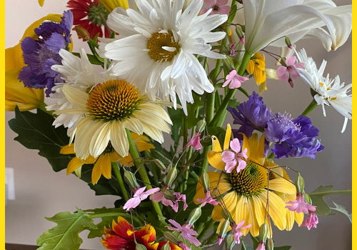 Farmers Pick local fresh cut flower farm - Boise, Idaho USA