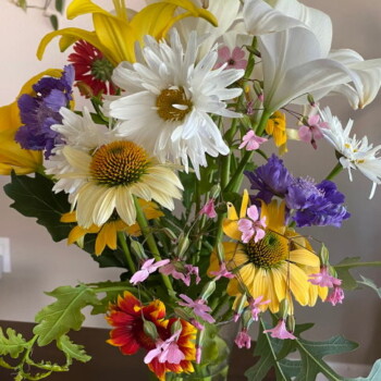 Farmers Pick local fresh cut flower farm - Boise, Idaho USA