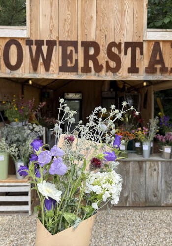 Farmers Pick local fresh cut flower farm - Boise, Idaho USA