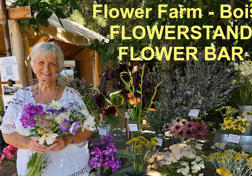 Farmers Pick local fresh cut flower farm - Boise, Idaho USA