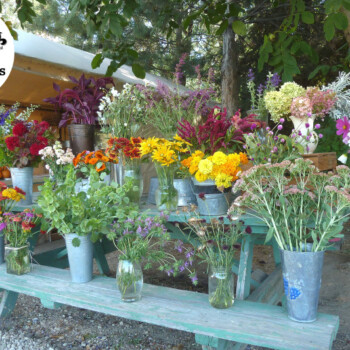 Farmers Pick local fresh cut flower farm - Boise, Idaho USA