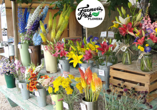 Farmers Pick local fresh cut flower farm - Boise, Idaho USA