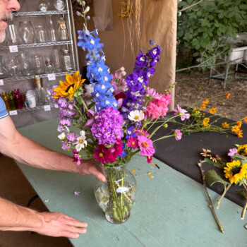 Farmers Pick local fresh cut flower farm - Boise, Idaho USA