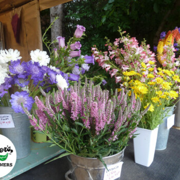 Farmers Pick local fresh cut flower farm - Boise, Idaho USA