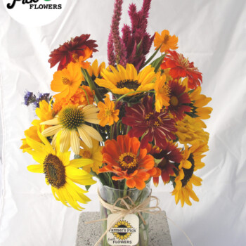 Fresh cut flower farm and farmer-florist in Boise, Idaho USA