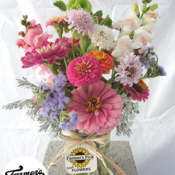 Fresh cut flower farm and farmer-florist in Boise, Idaho USA