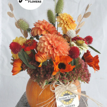 Fresh cut flower farm and farmer-florist in Boise, Idaho USA