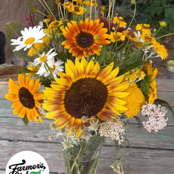 Fresh cut flower farm and farmer-florist in Boise, Idaho USA