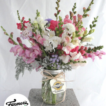 Farmers Pick local fresh cut flower farm - Boise, Idaho USA