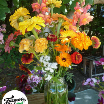 Farmers Pick local fresh cut flower farm - Boise, Idaho USA