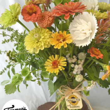 Farmers Pick local fresh cut flower farm - Boise, Idaho USA