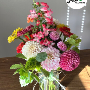 Farmers Pick local fresh cut flower farm - Boise, Idaho USA
