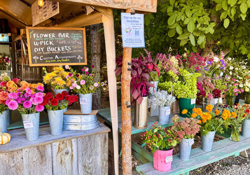 Farmers Pick local fresh cut flower farm - Boise, Idaho USA