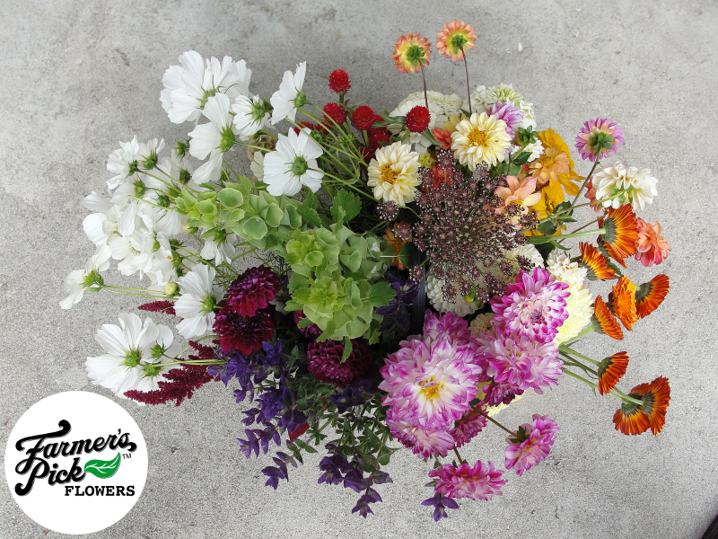 Farmers Pick local fresh cut flower farm - Boise, Idaho USA