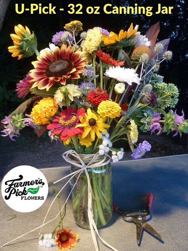 U-Pick Flowers Boise - Quart
