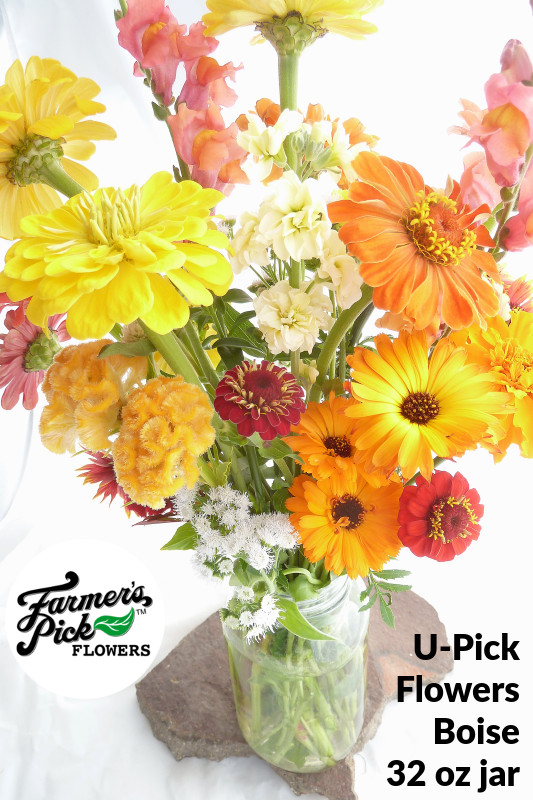 You-Pick Flowers 32 oz caning jar