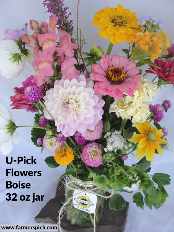 You-Pick Flowers 32 oz caning jar